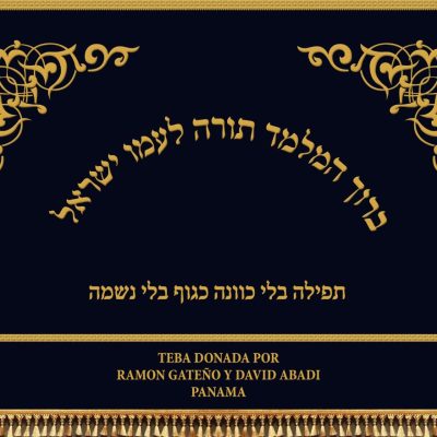 פרוכת לבימה – "ברוך המלמד תורה" עיטורים